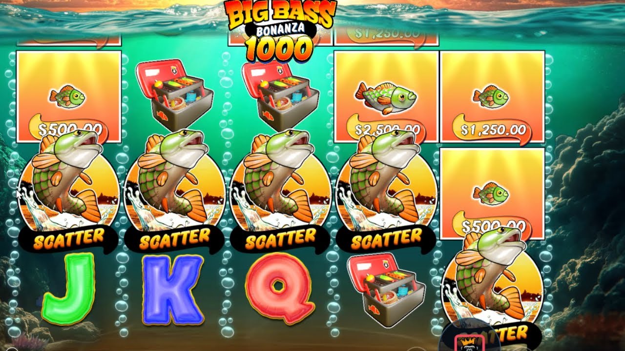 MVPWIN555 : Big Bass Bonanza 1000